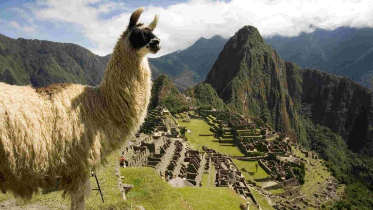 Cada vez más turistas eligen Perú: en la primera mitad del año, creció el número de visitantes