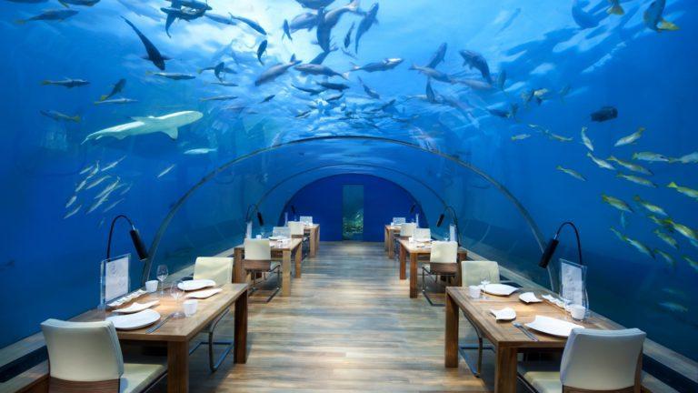 Inaugura el restaurante subacuático vidriado más grande del mundo