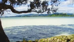 Rotorua, un destino lleno de atractivos en Nueva Zelanda, en imágenes