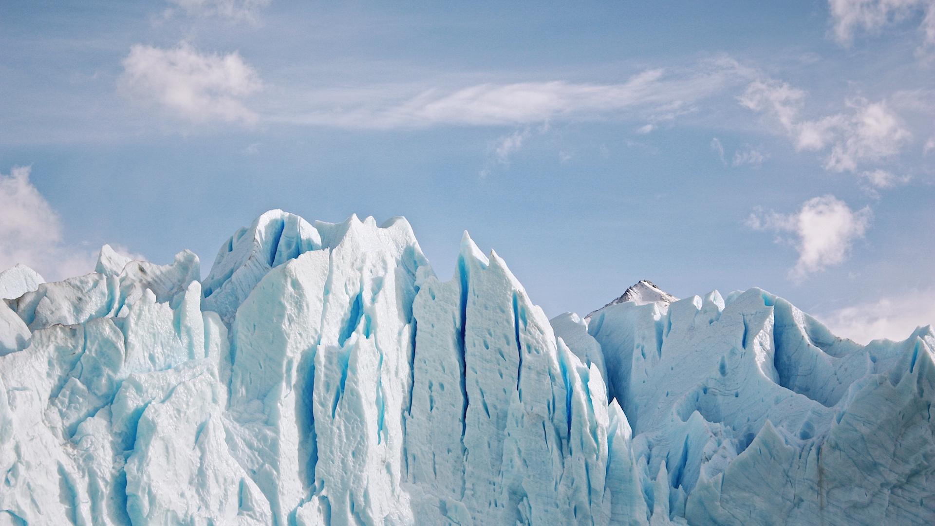 calafate-argentina-patagonia-foto-imagen-wallpaper-29012016-norbertosica-in9