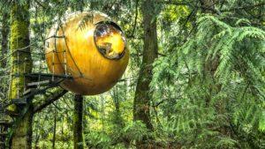 ¿Dormir en una esfera sobre un árbol? Ahora es posible