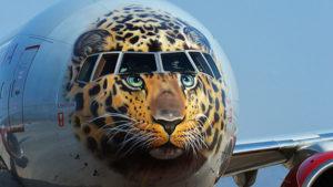 El llamativo avión con cara de leopardo