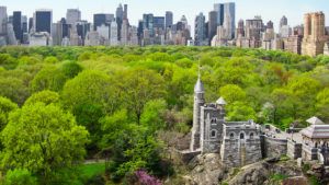 El Central Park de Nueva York completamente libre de autos
