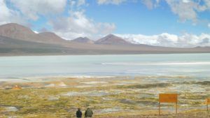 Así es Laguna Brava en la Cordillera de los Andes: imágenes