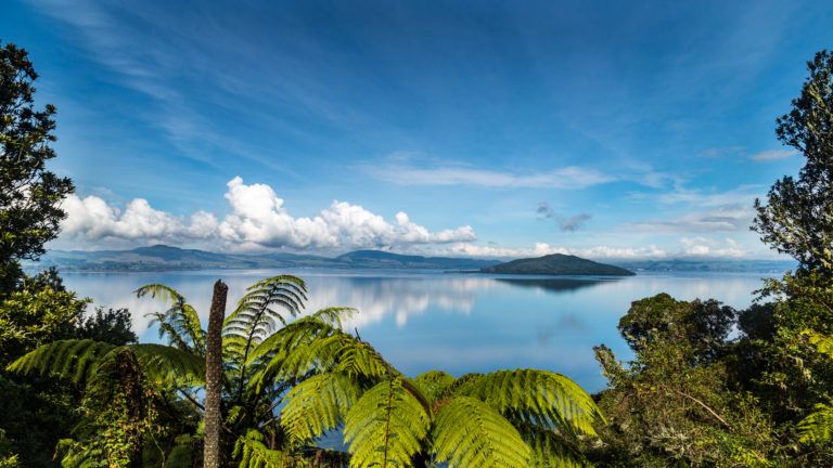 Estas son algunas de las islas más idílicas de Nueva Zelanda