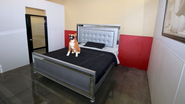 Un hotel cinco estrellas exclusivo para perros