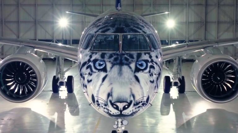 El avión con cara de leopardo ya está en el aire: video