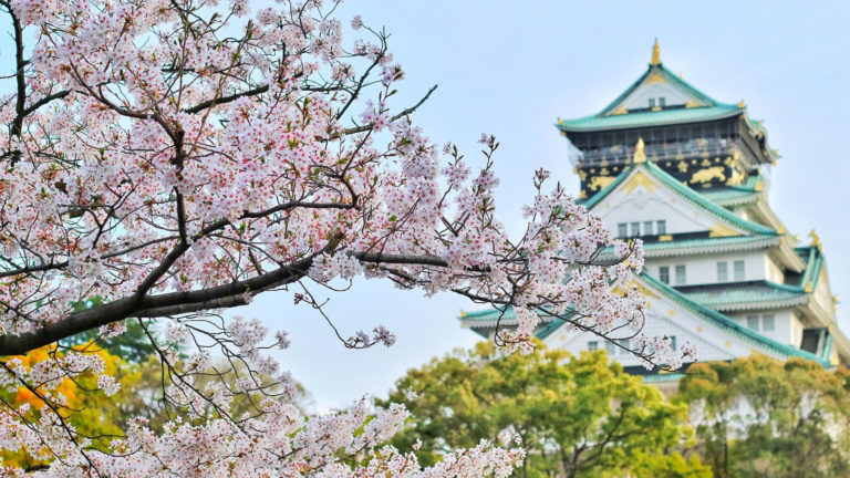 El mejor momento para viajar a Japón en 2019  para ver los cerezos en flor