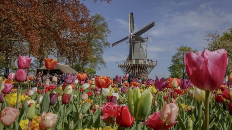 Cuatro destinos para elegir esta primavera en Europa