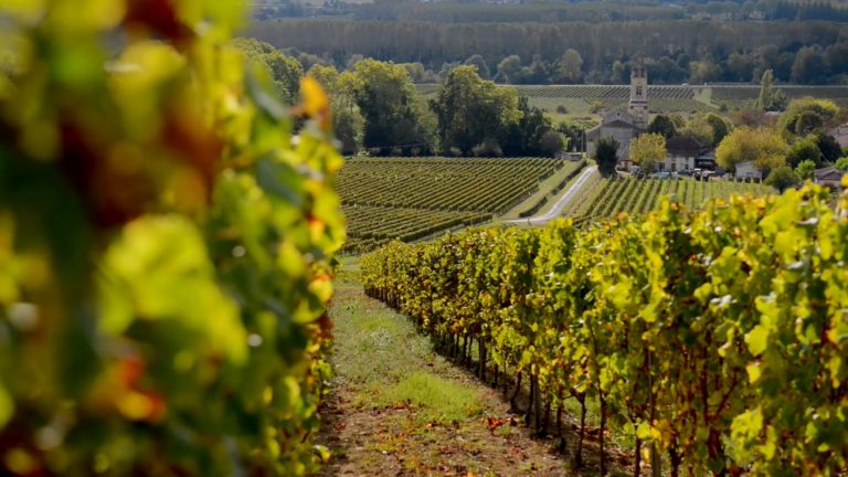 Cinco razones para visitar Burdeos, la capital mundial del vino