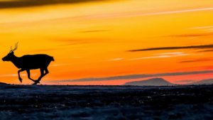 Los mejores lugares para ver el sol de medianoche en Noruega