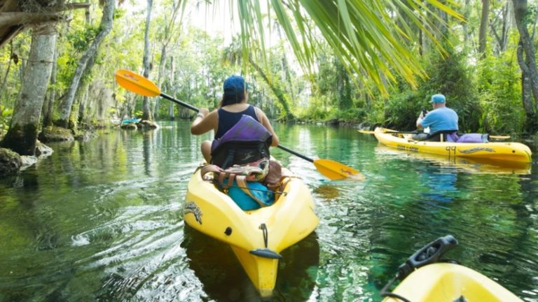 Los mejores 5 destinos ecológicos en el estado de Florida
