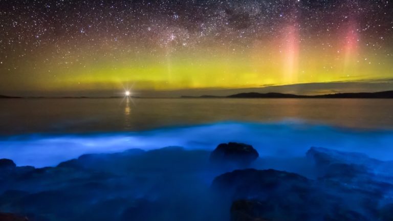 Los espectáculos naturales de bioluminiscencia en Chile