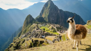 Cuatro lugares para tomar las mejores fotos de Machu Picchu