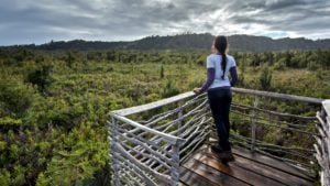 Visitar Chiloé en un viaje de tres días: las mejores cosas para hacer