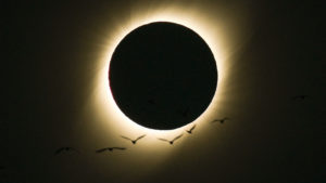 Dónde y cuándo ver el eclipse total de sol 2020
