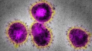 ¿Qué es una pandemia? ¿Puede el coronavirus COVID-19 convertirse en una?