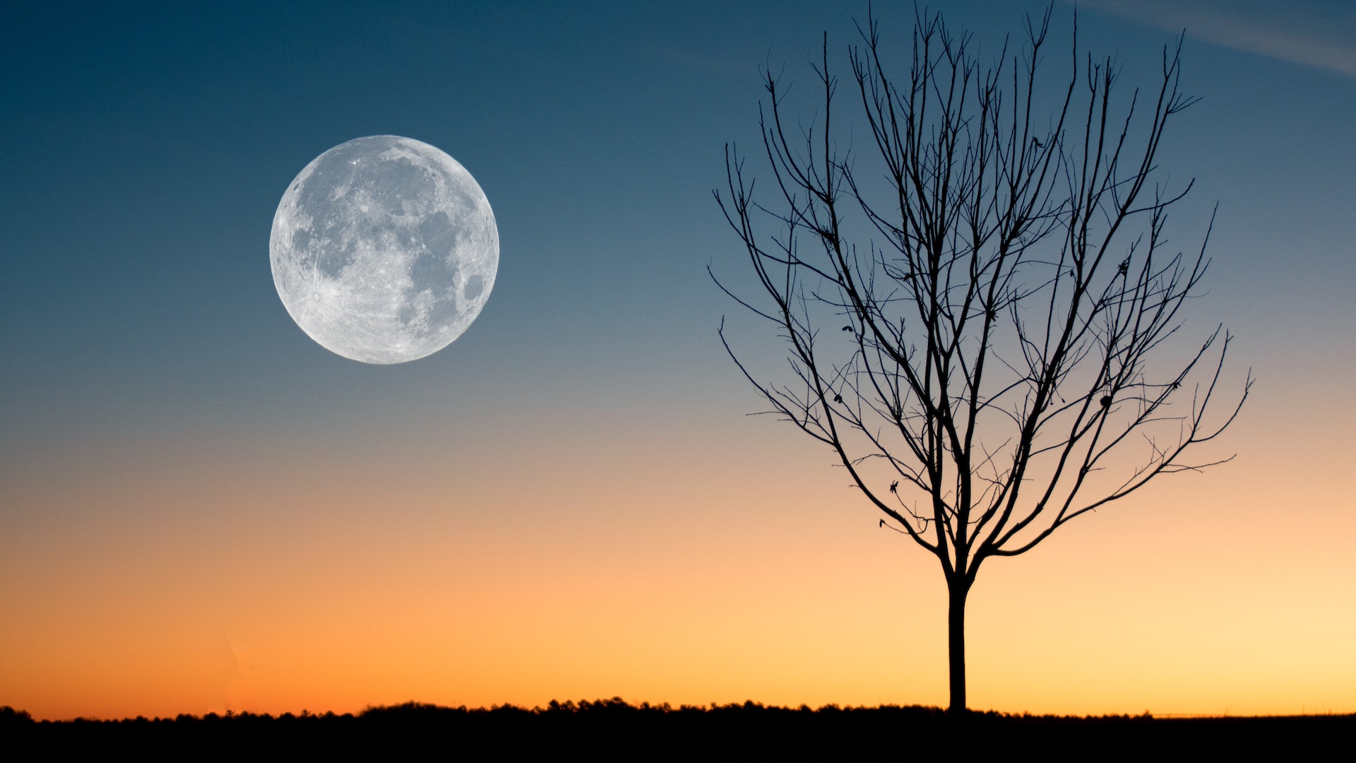 La próxima luna llena llega este 5 de julio Buck Moon —