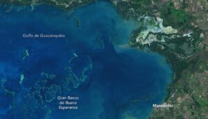 Destino Cuba: así es el Golfo de Guacanayabo, un arrecife de coral único