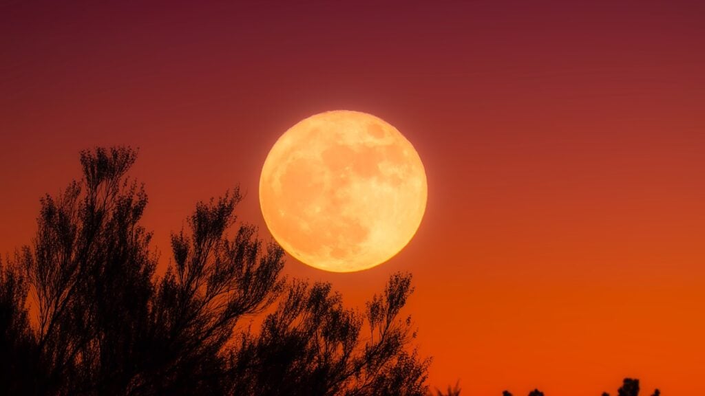 Los nombres de las lunas llenas, mes por mes | Conocedores.com ...