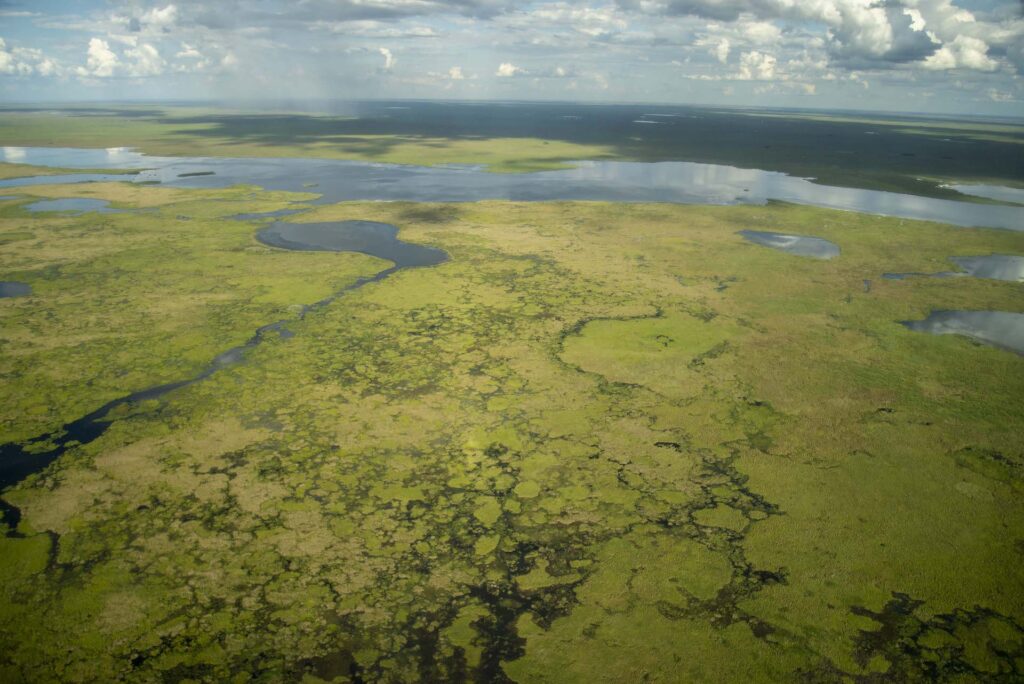 Turismo En Argentina ¿qué Hacer En Los Esteros Del Ibera — 7066