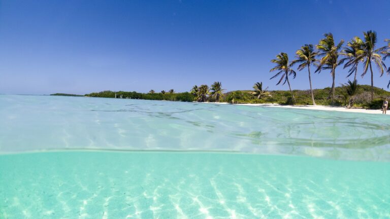 Punta Allen: playas imperdibles y únicas a minutos de Tulum