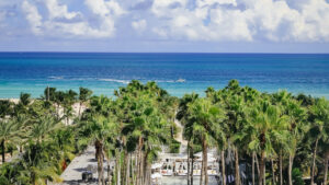 Los mejores hoteles en Miami: South Beach vs. Brickell y más
