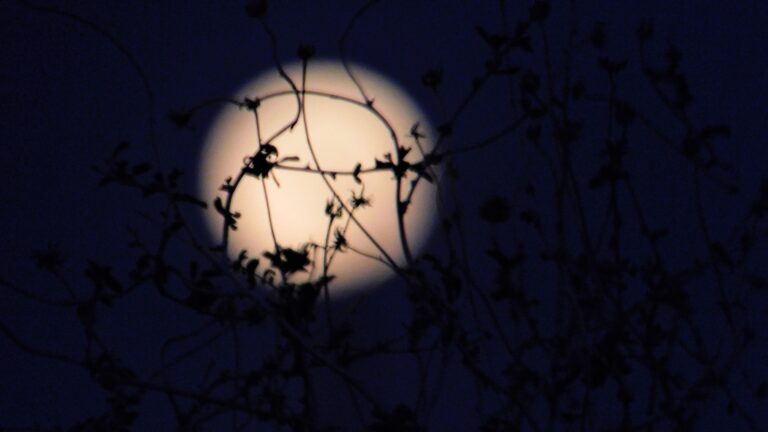 ¿Qué efecto tiene en el sueño de las personas la luna llena?