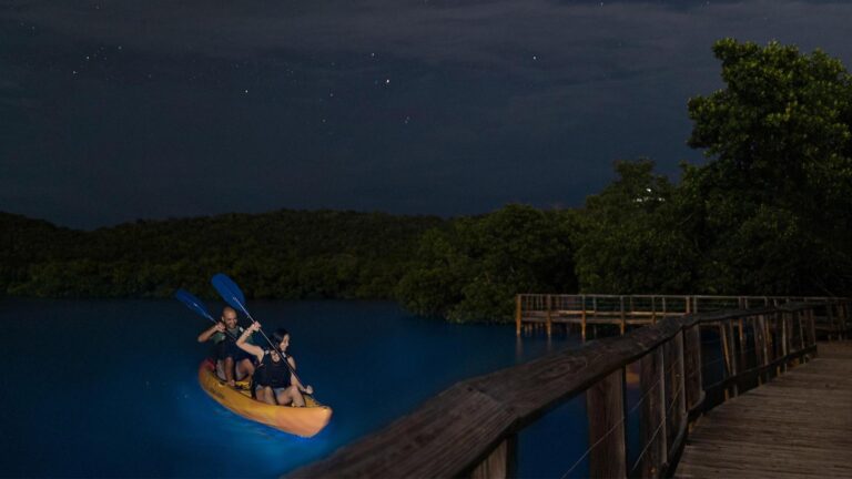 Viajar a Puerto Rico y un gran atractivo: bahías bioluminiscentes