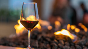 Se celebra el Día Mundial del Malbec: ¿cuál es el origen de este vino?