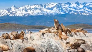 Patagonia argentina: cinco experiencias distintas para hacer en Ushuaia