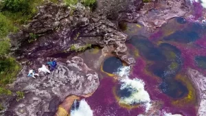 Cómo es y cómo llegar a Caño Cristales, el río de los 7 colores