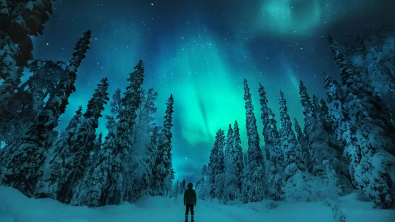 4 imperdibles en Finlandia: desde las auroras boreales al sol de medianoche