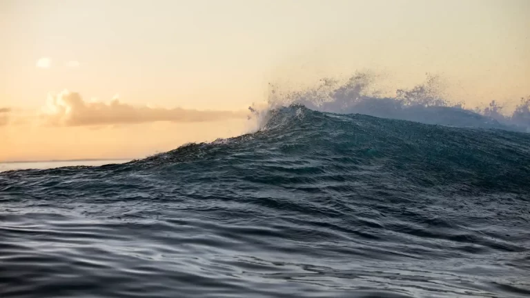 ¿Dónde están las olas más largas del mundo? Ideal para hacer surf