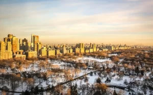 Darling es el nuevo mejor rooftop de Nueva York con vista al Central Park