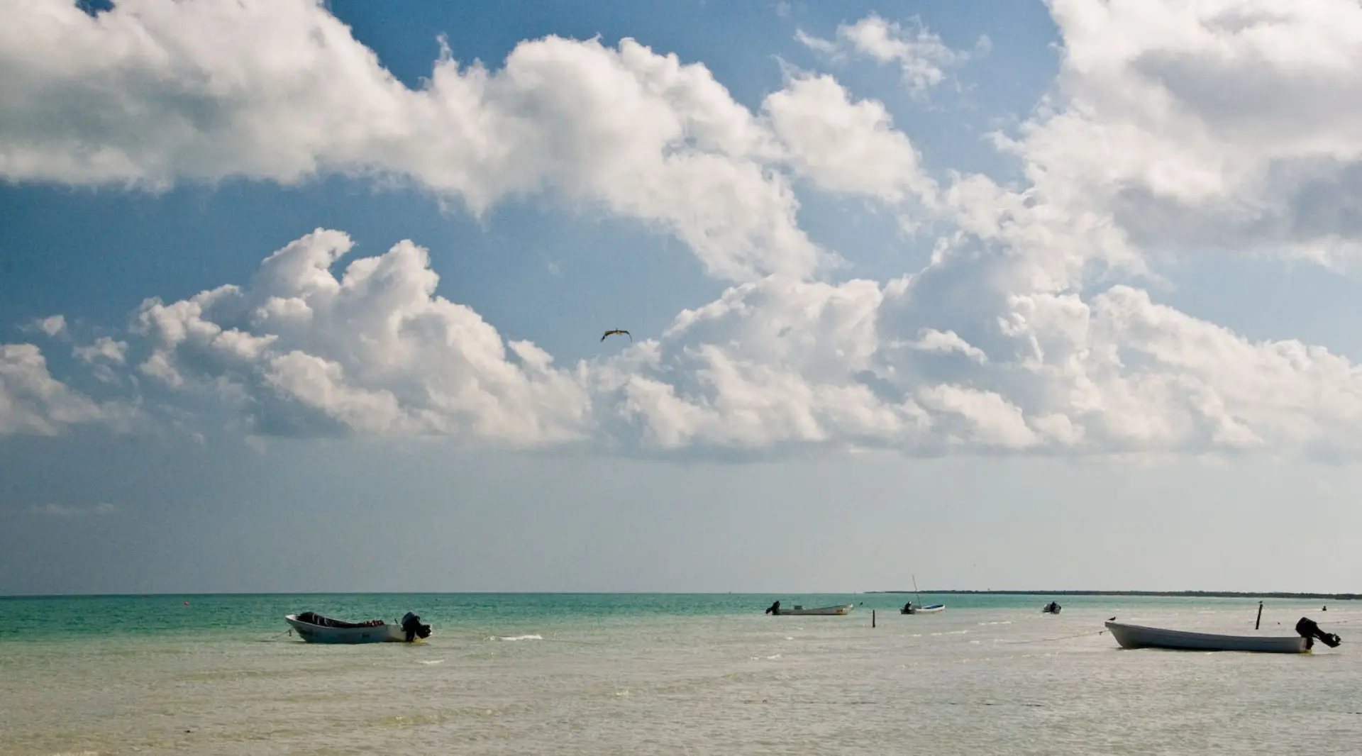 Destino México: 5 playas para visitar en la Riviera Maya