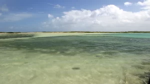 Consejos para viajar a las islas Turcas y Caicos: clima, visas y mucho más