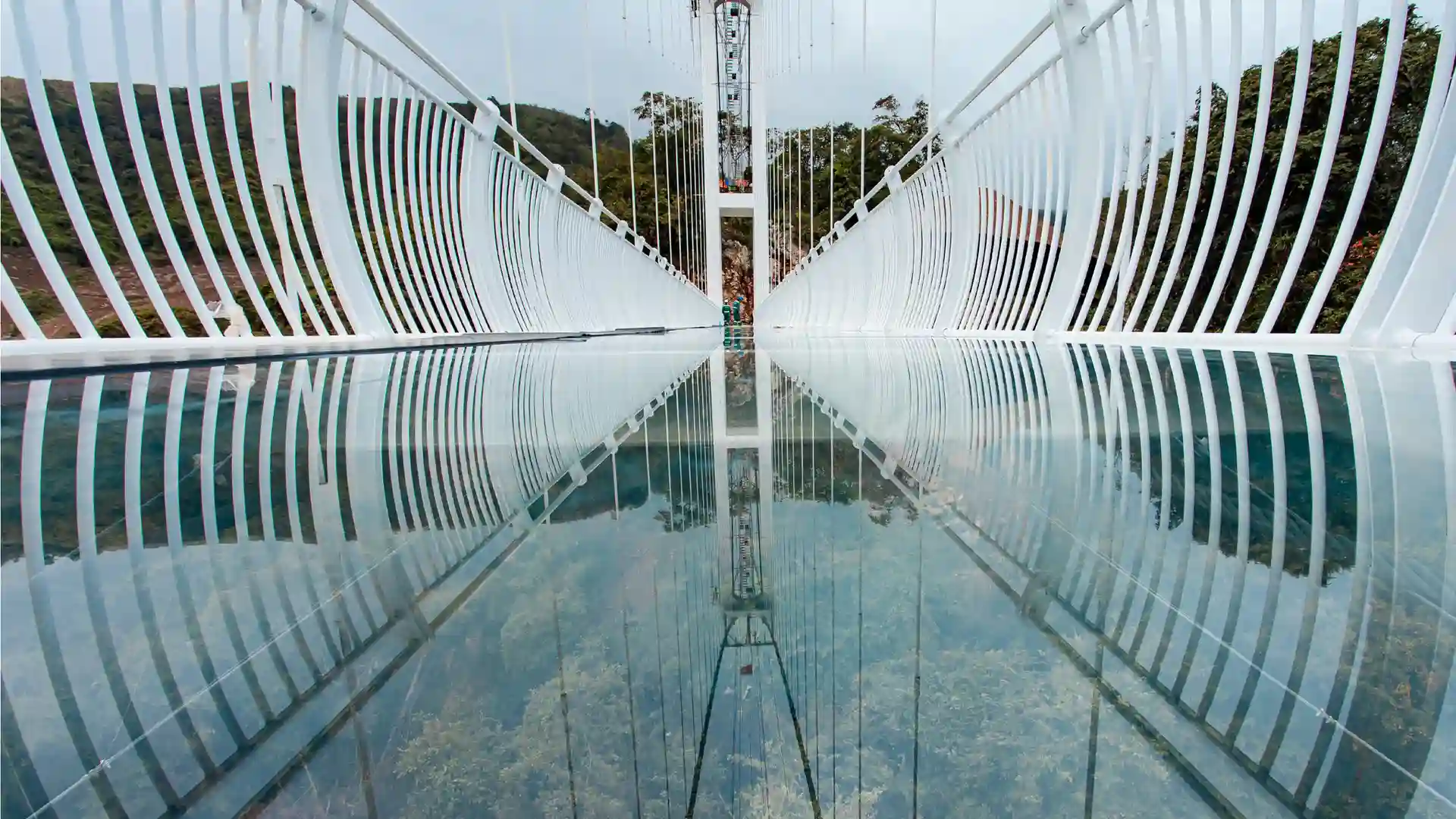 Así es Bach Long Bridge: el puente flotante de cristal más largo del mundo