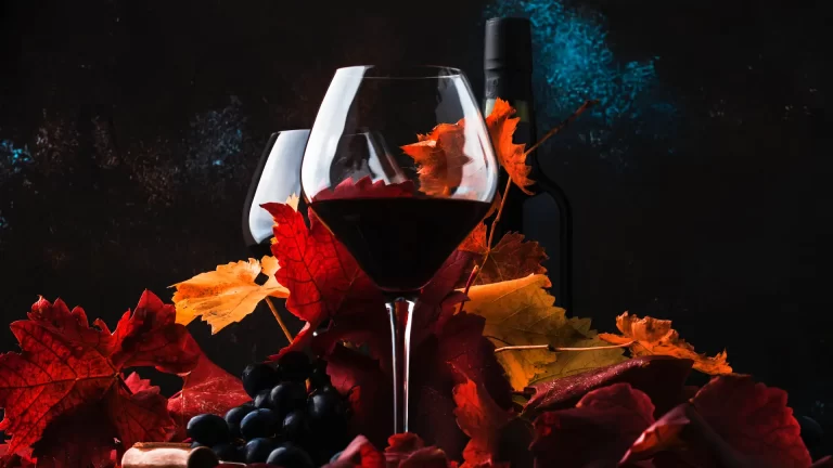 ¿Por qué y cuándo se celebra el Día del Vino en Chile?