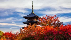 Viajar a Japón: el peor requisito y la eliminación de cuarentenas y vacunas