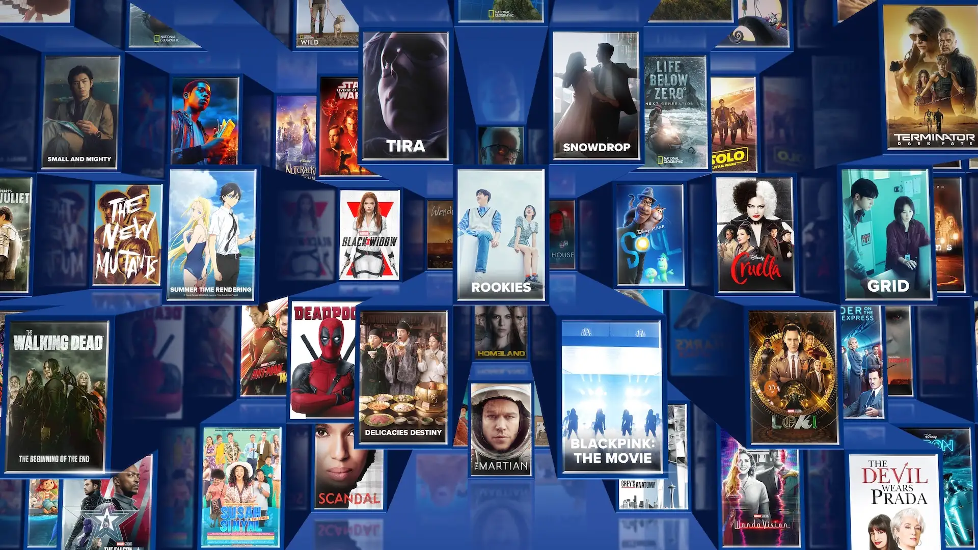 Netflix versus Disney Plus: ¿cuál elegir por contenidos, precios y calidad? — Conocedores.com