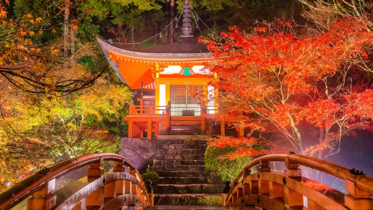 ¿Qué requisitos son necesarios para viajar a Japón en diciembre 2022?