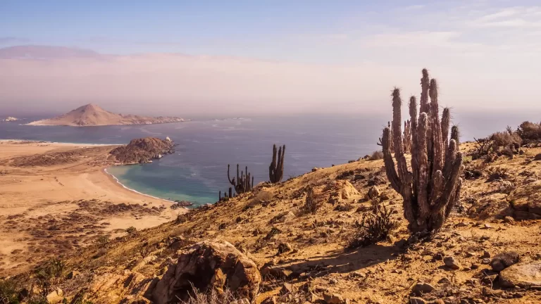 5 parques nacionales en Chile: qué senderos recorrer en el país más largo del mundo