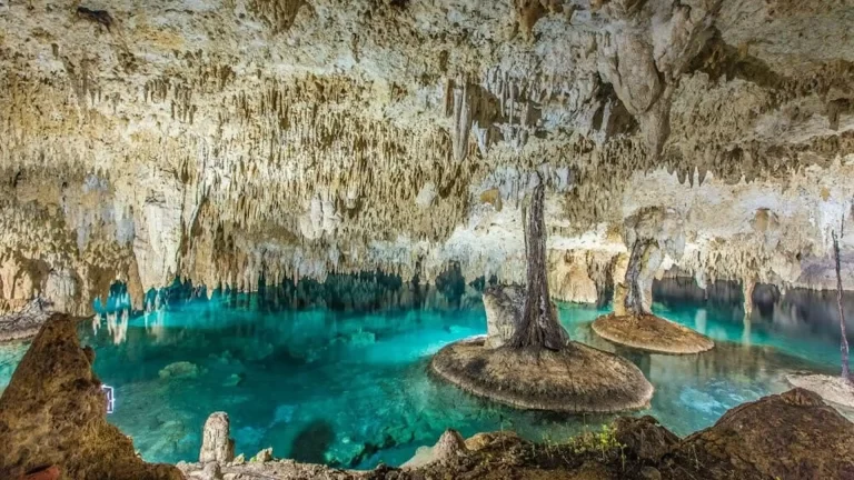 Cenotes, esnórquel y nadar con delfines para disfrutar en la Riviera Maya