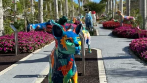 Así es el nuevo parque temático para perros y gatos en Miami