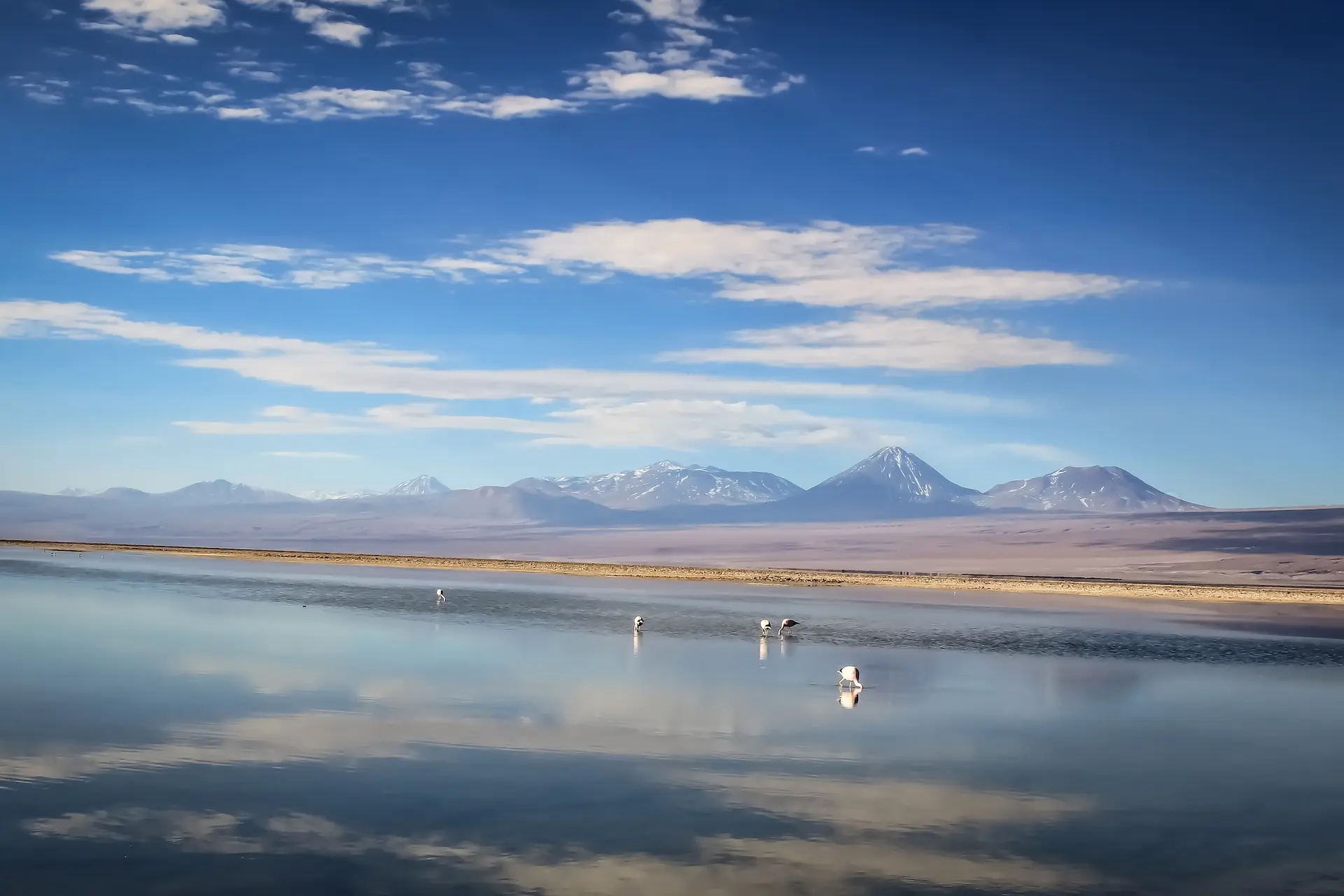 REVIEW Hotel Nayara Alto Atacama: un oasis en el Desierto de Atacama