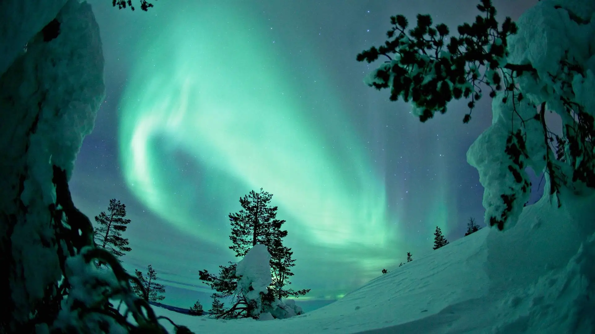 Cuándo ver las auroras boreales en Finlandia, el país más feliz del mundo