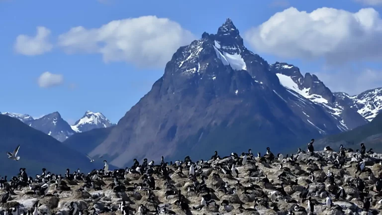 Bosques, mares y montañas para visitar en Ushuaia