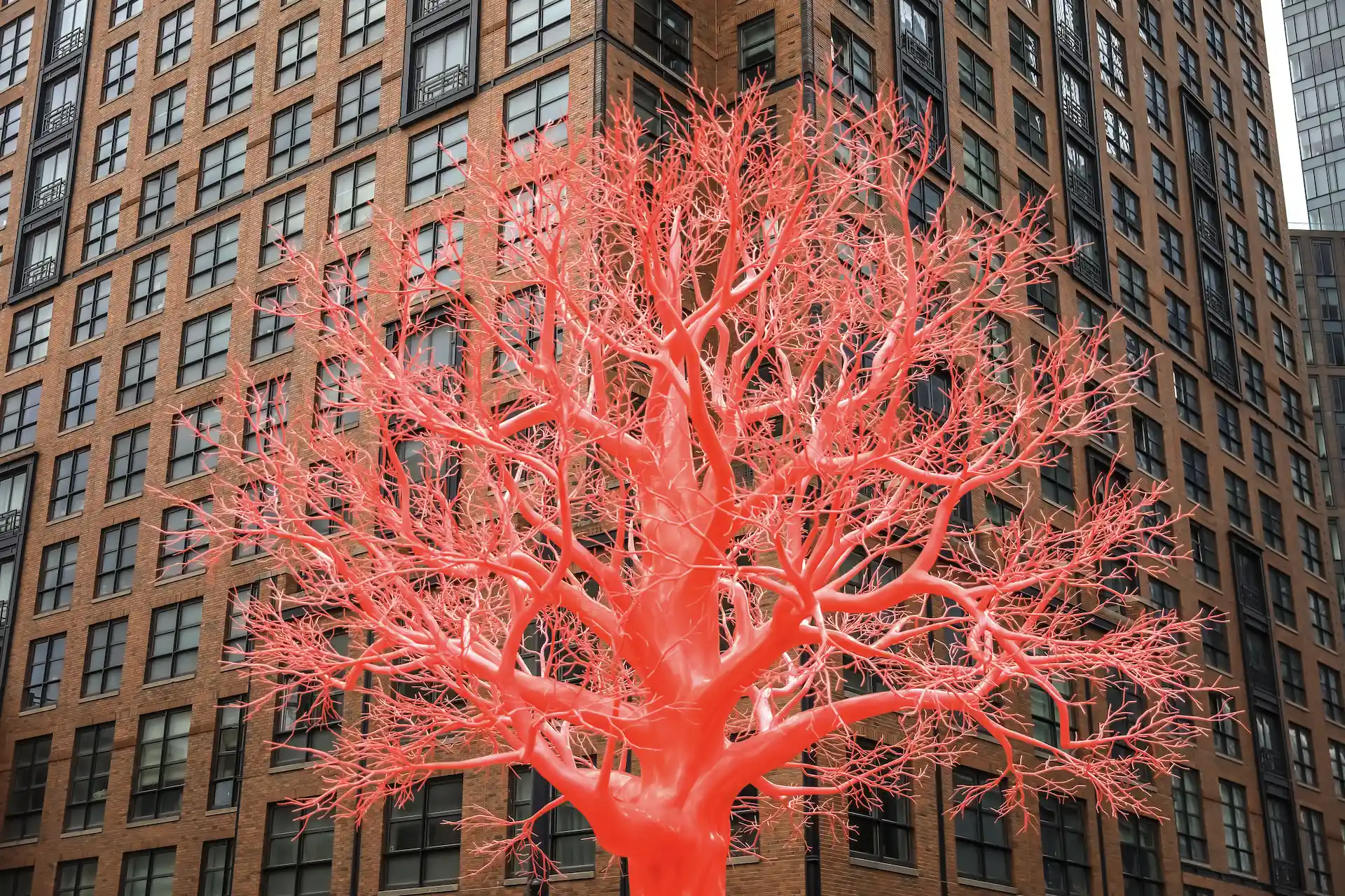 Old Tree: el árbol rojo del High Line, la nueva atracción en Nueva York