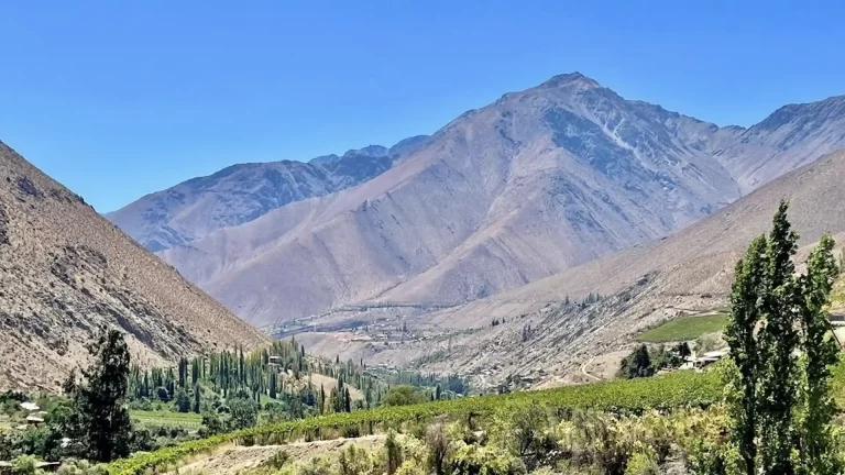 Dónde probar y descubrir el mejor pisco en Chile